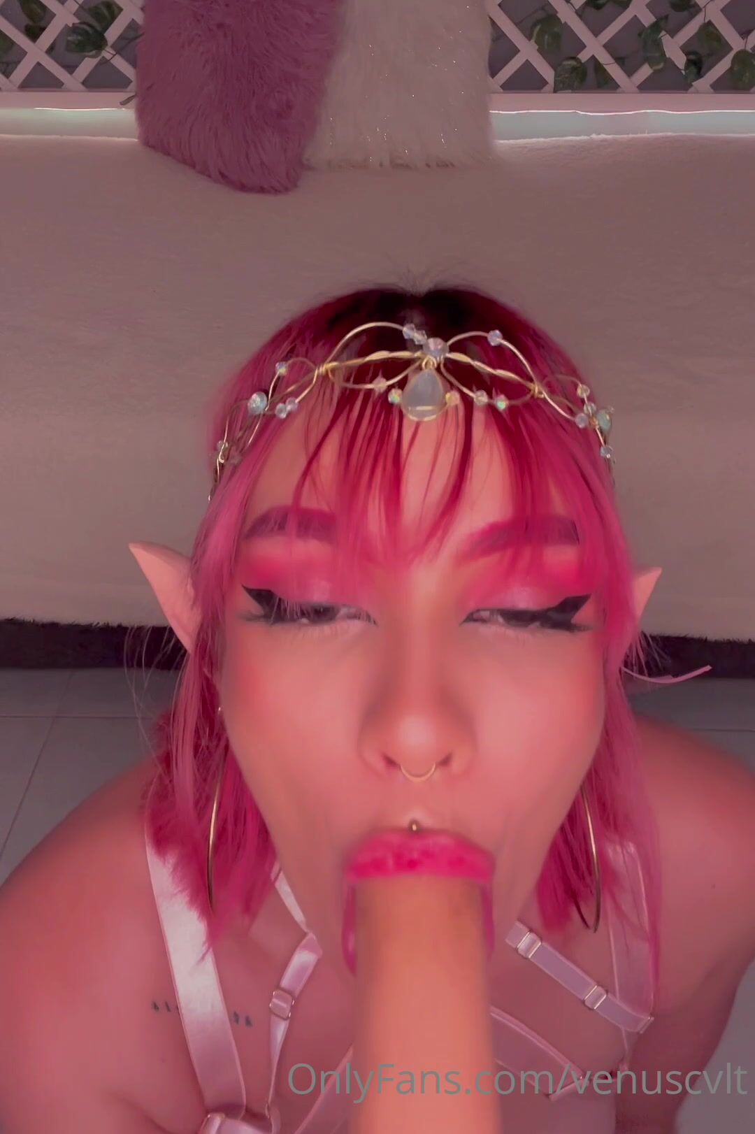 Venuscvlt Dildo Blowjob In Costume