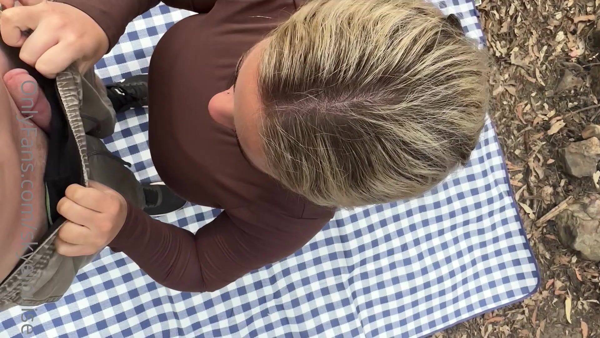 SkyeLara - Public Blowjob And Quick Fuck