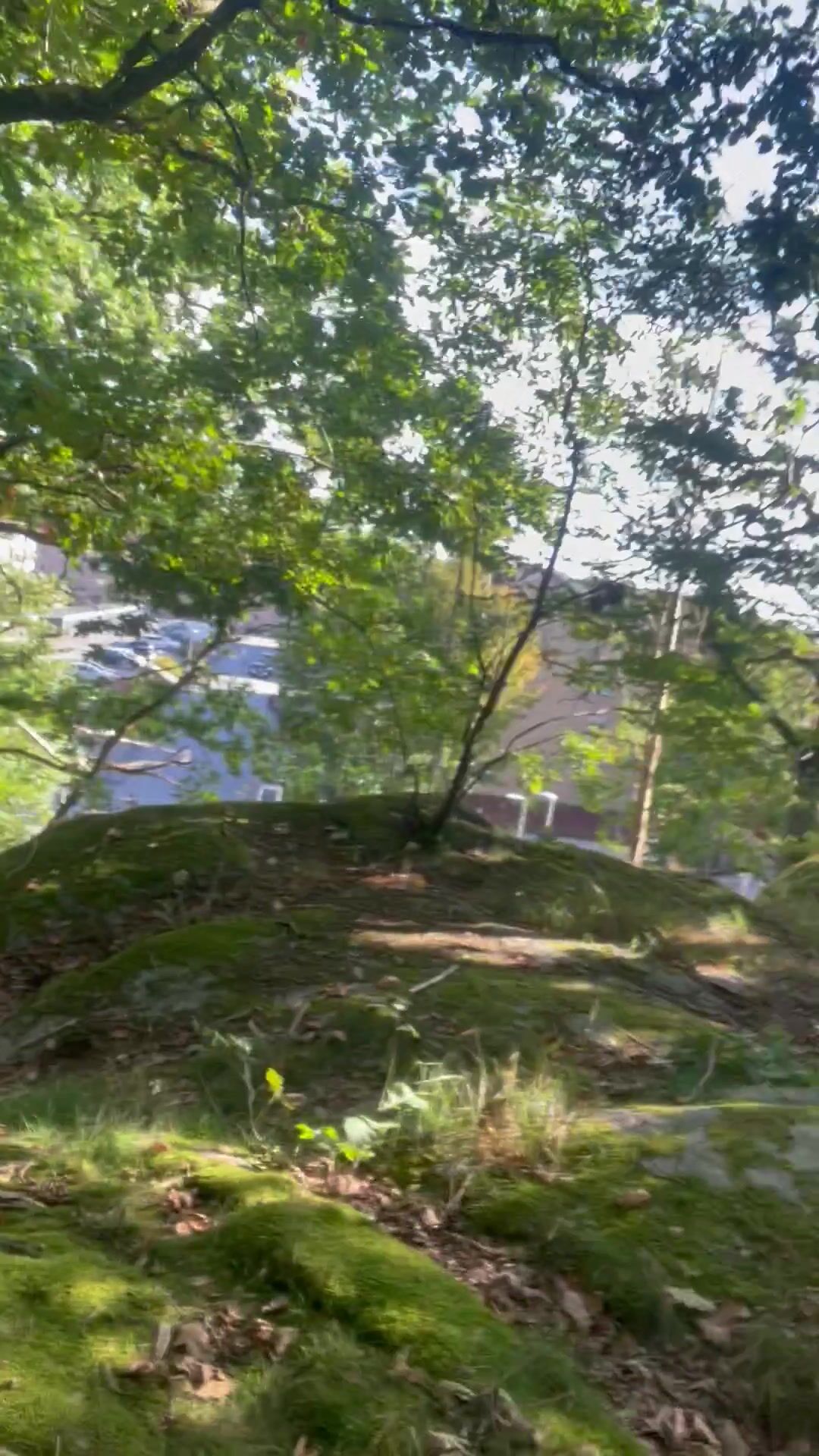 Swedish Nell Risky Public Masturbation