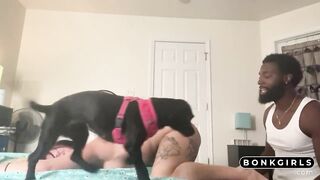 Daddy's Interracial Blowjob and Pussy Eating Orgasm with BBC