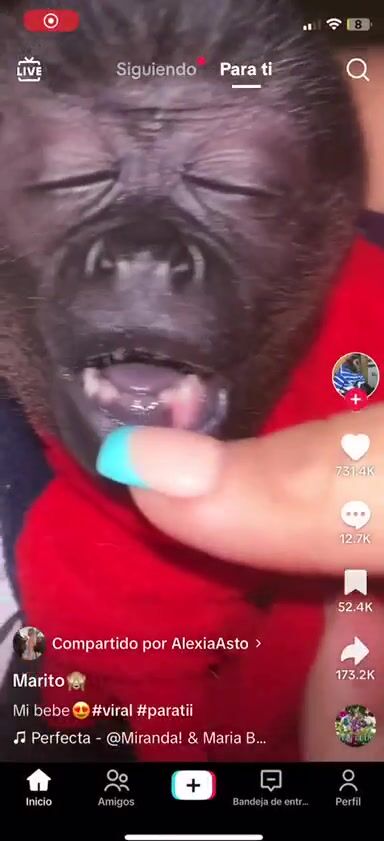 Alexia Astorga Doggystyle Sextape