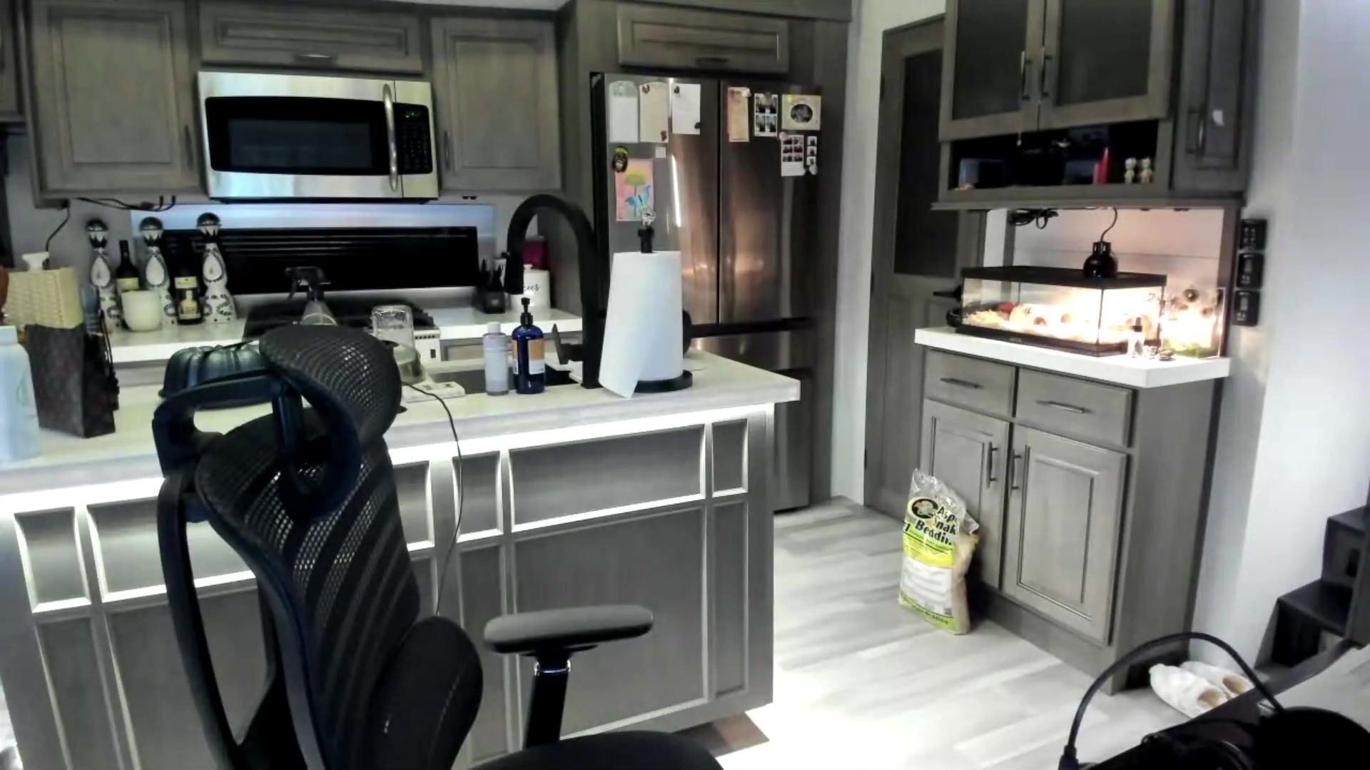 corinna kopf full live stream