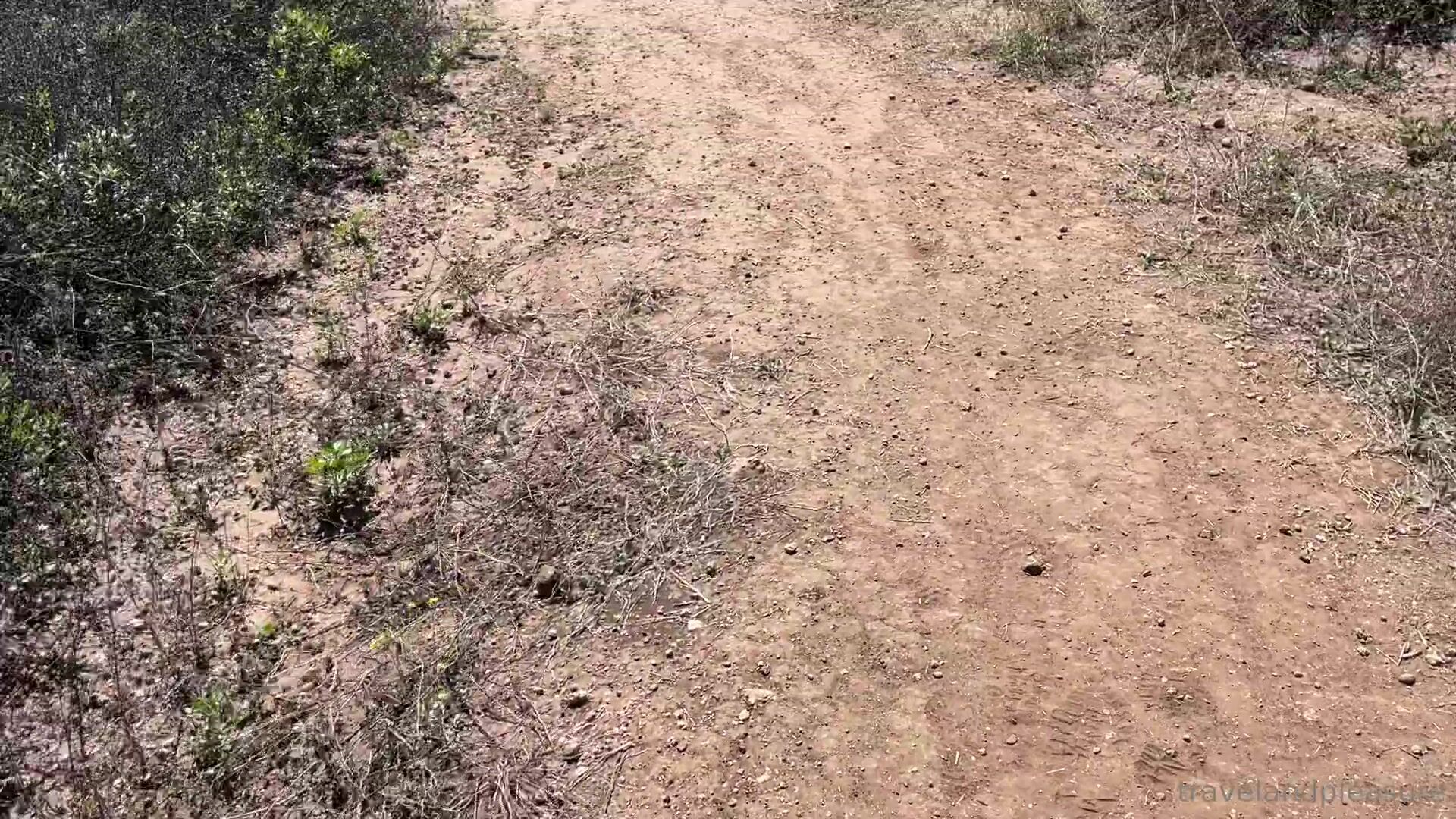 TravelAndPleasure Playing With Tits On The Hiking Trail