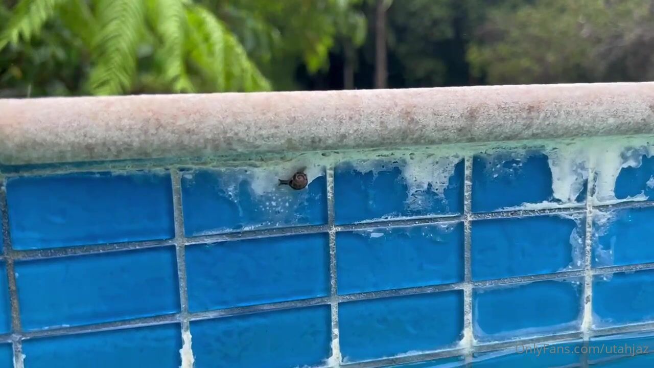 UtahJaz Gives Blowjob In Outdoor Pool