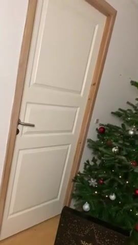 Danish M3gan H0lst 5