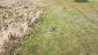 Swedish Barbieswede sucking stranger outdoor