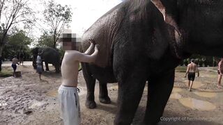 Hermione Potter Phuket Thailand Vacation Sex