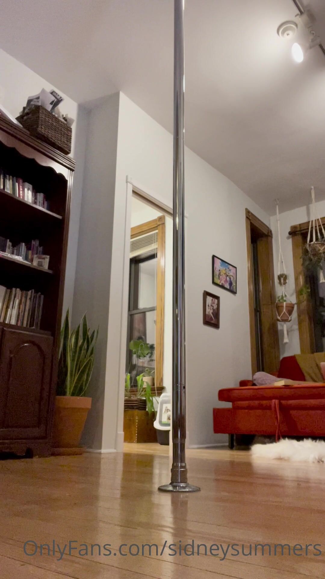 Sidney Summers Striptease On The Dancepole And The Disturbed Cat