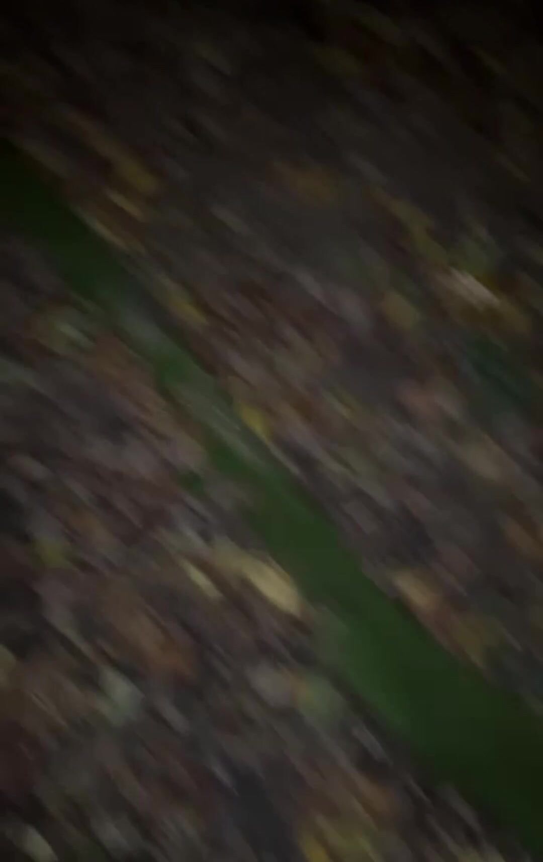 Tiffany Leiddi - Busty College Slut Sucks and Fucks BWC