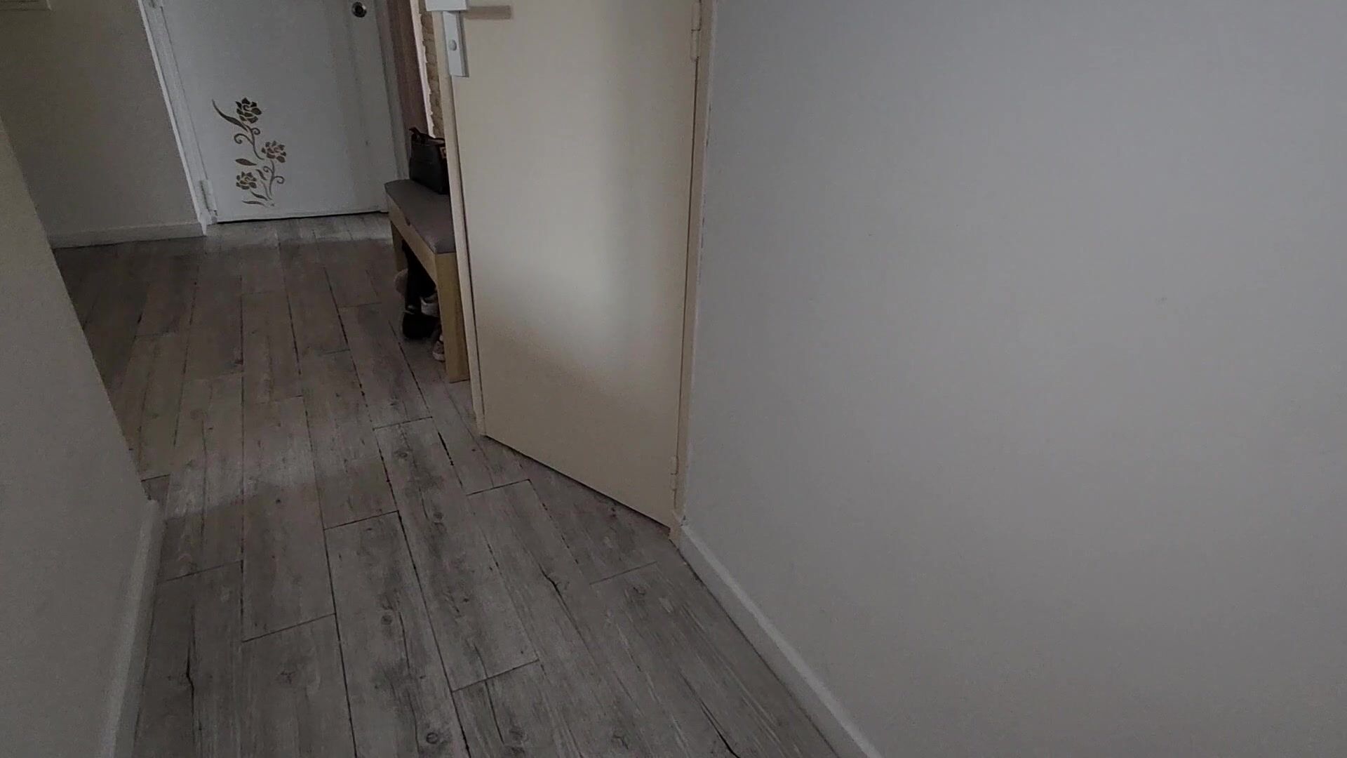 Shasha Lopez - Giving Blowjob And Making Stranger Cum in Bathroom