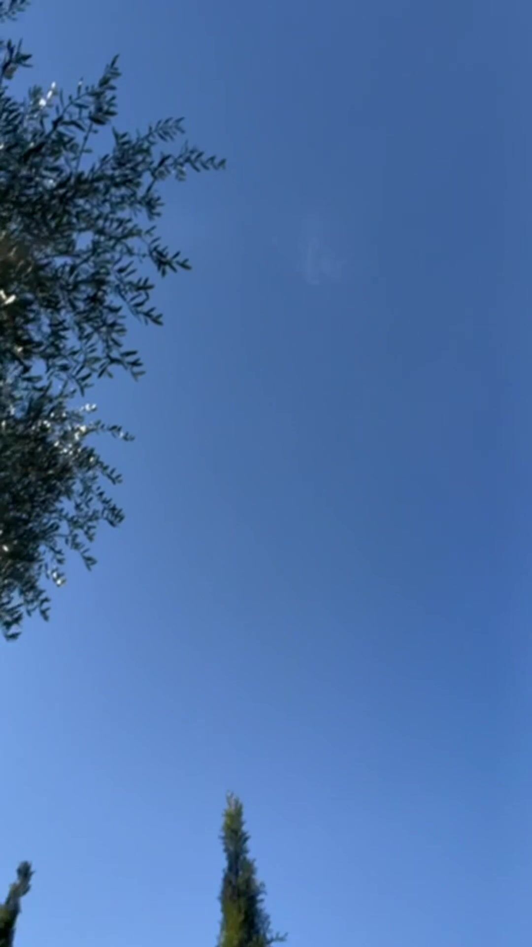 Margot Dulac - Outdoor Moaning Masturbation