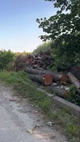 H0n3yb4b3sug4rpii3 sextape in cave