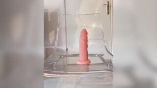 Norwegian Vanilj3face 6