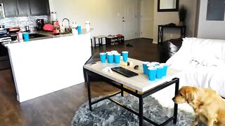 diana_and_apollo 2016-06-12