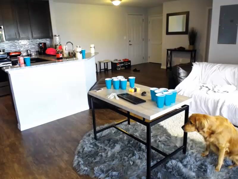 diana_and_apollo 2016-06-12