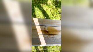 Amanda Breden outdoor squirt, blowjob and cum on boobs