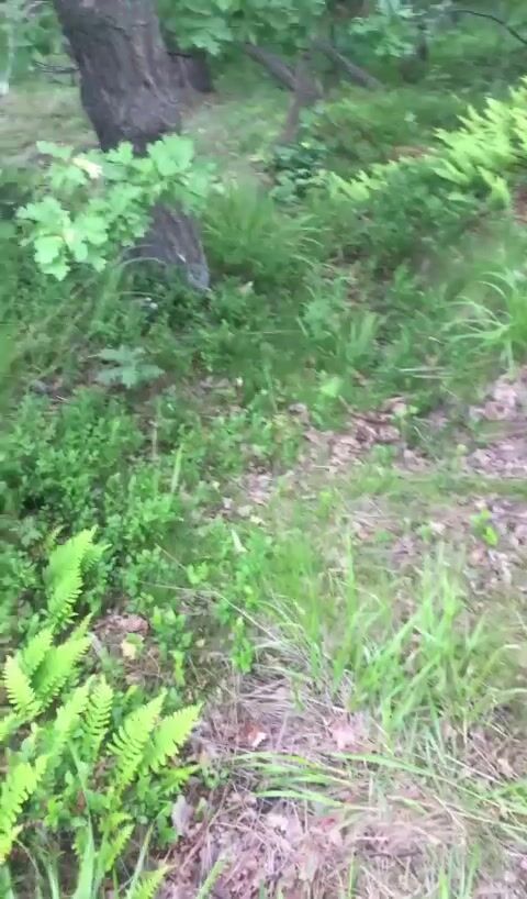 Nerdy Swedish Girlfriend Giving Blowjob in Public