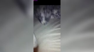 Slutty Swedish Blonde Giving BJ