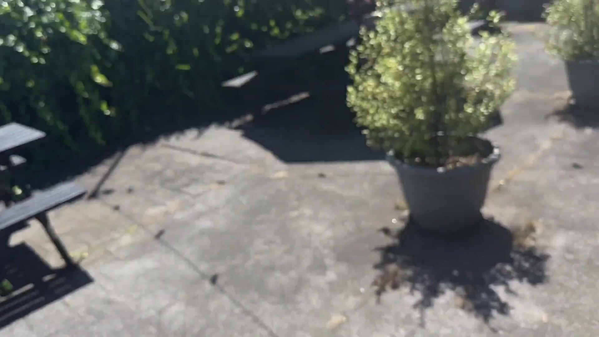 Miaz1234 - Short Indian Slut Gets Fucked And Creampied on First Date