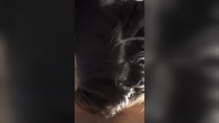 Swedish Nicole Kikabidze Blowjob