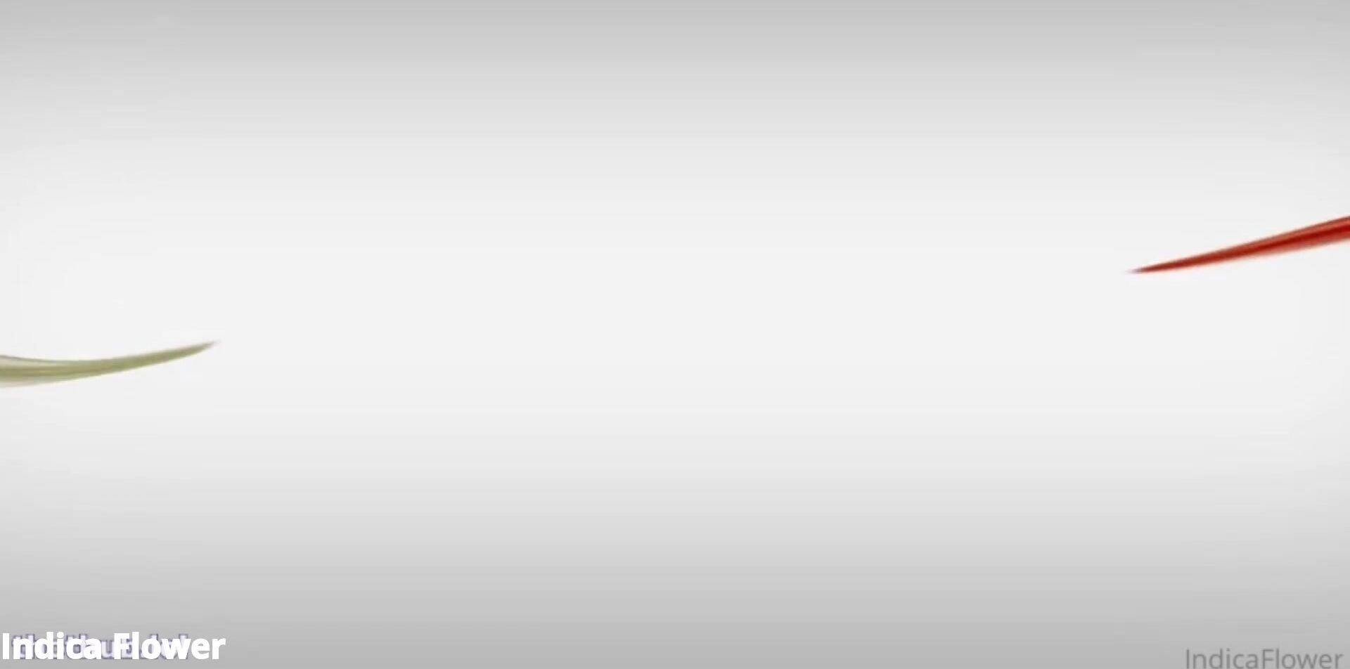 Indica Flower - Slutty Homemade Sextape Recording