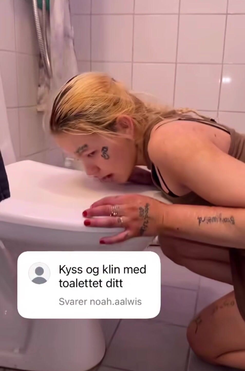 Toilet Norwegian