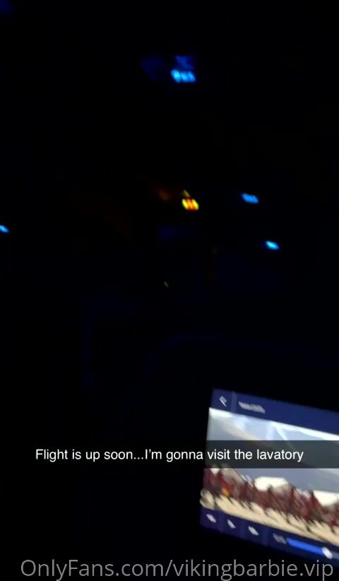 Vikingbarbie on the Airplane