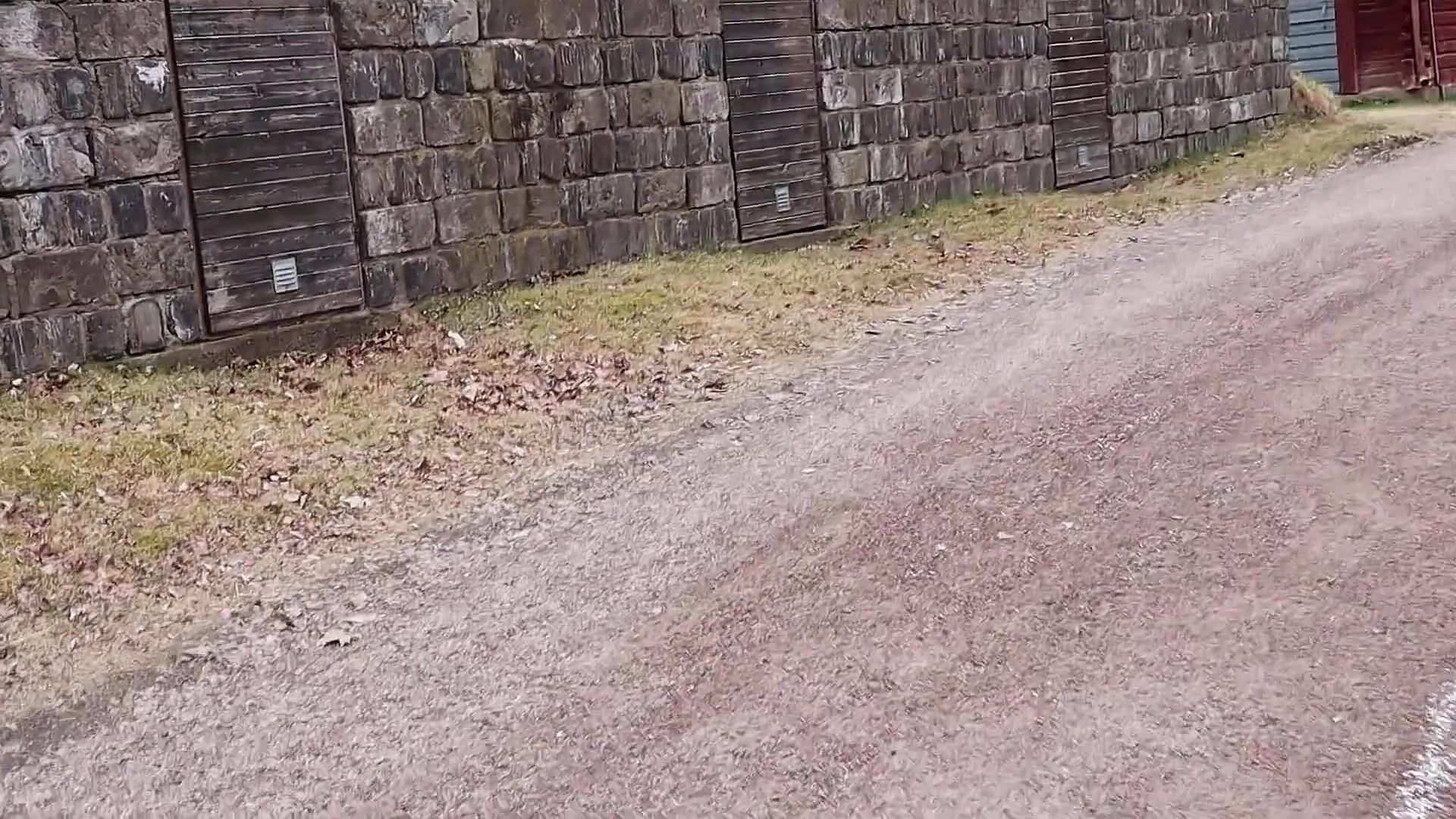 Swedish park pickup sex