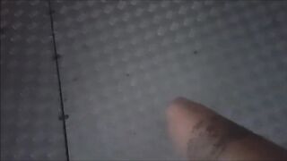 Swedish Tinasinner Public No 5