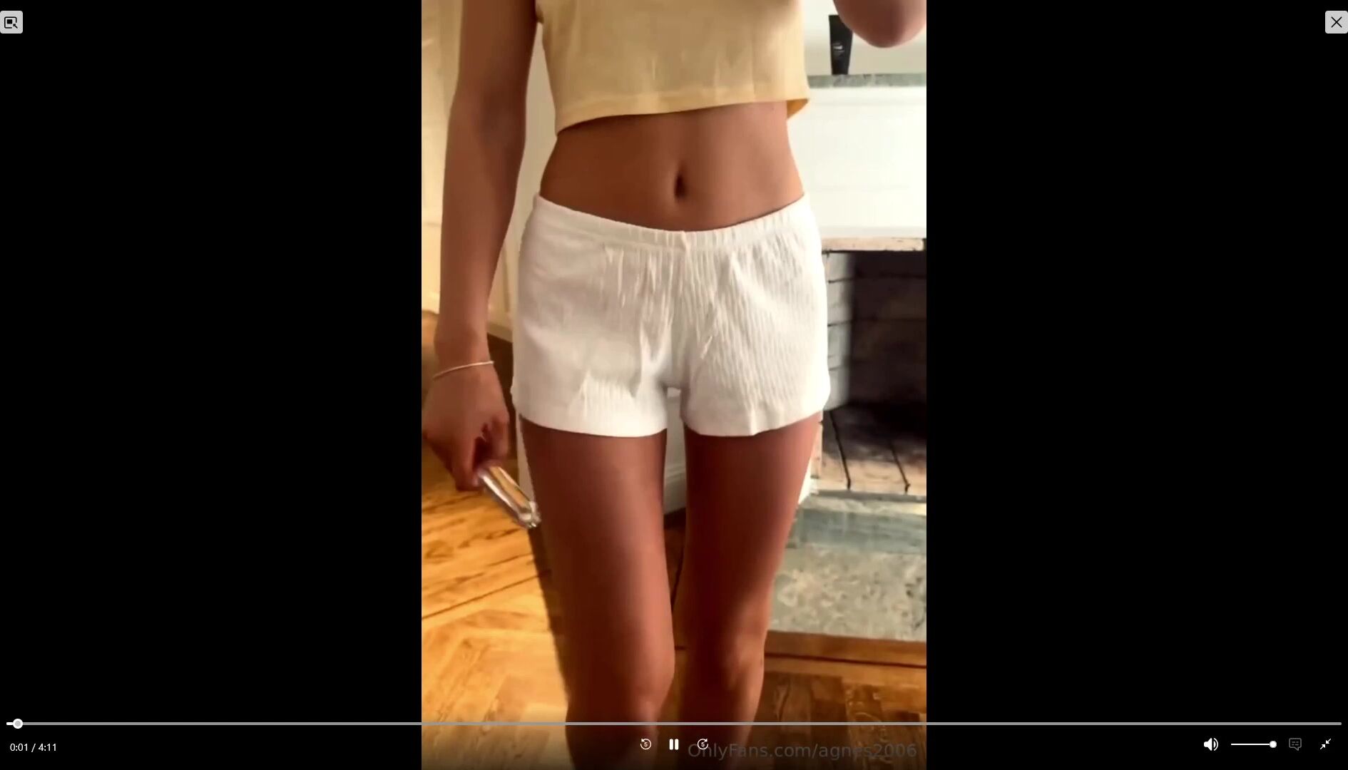 Swedish Agnesroliga2006 dildo