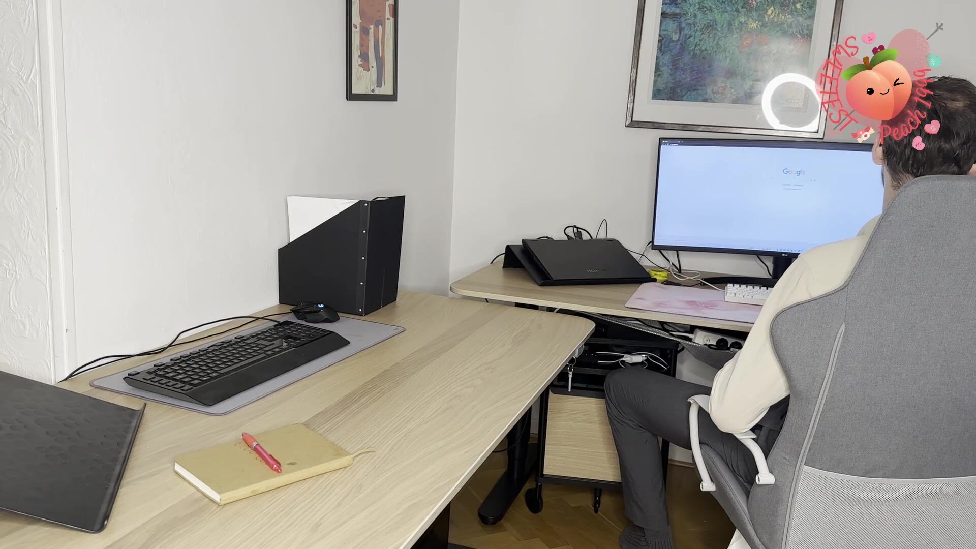 The Swedish Peach office video