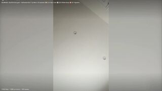 Caroline Zalog - Slutty Halloween 2025 Livestream