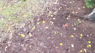 Mini Lilly - Outdoor POV Sextape Video