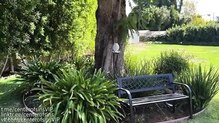 Hailey Rose - Halloween Fairy Cosplay Outdoor Sextape