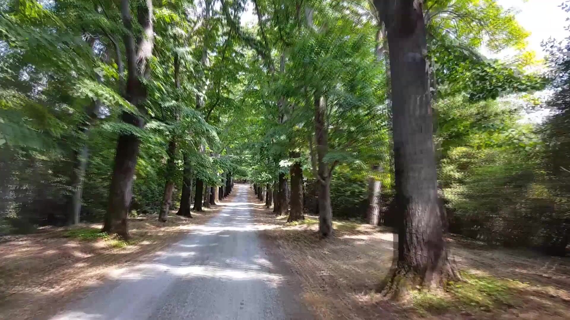 Natalie Lee With Nude Friends Behind The Scenes