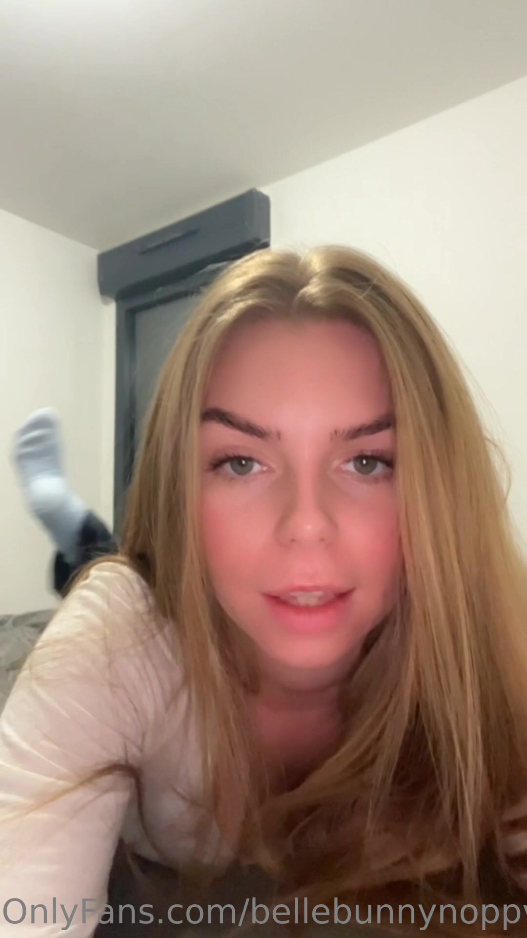 Bellabluebunny Full Livestream Tape