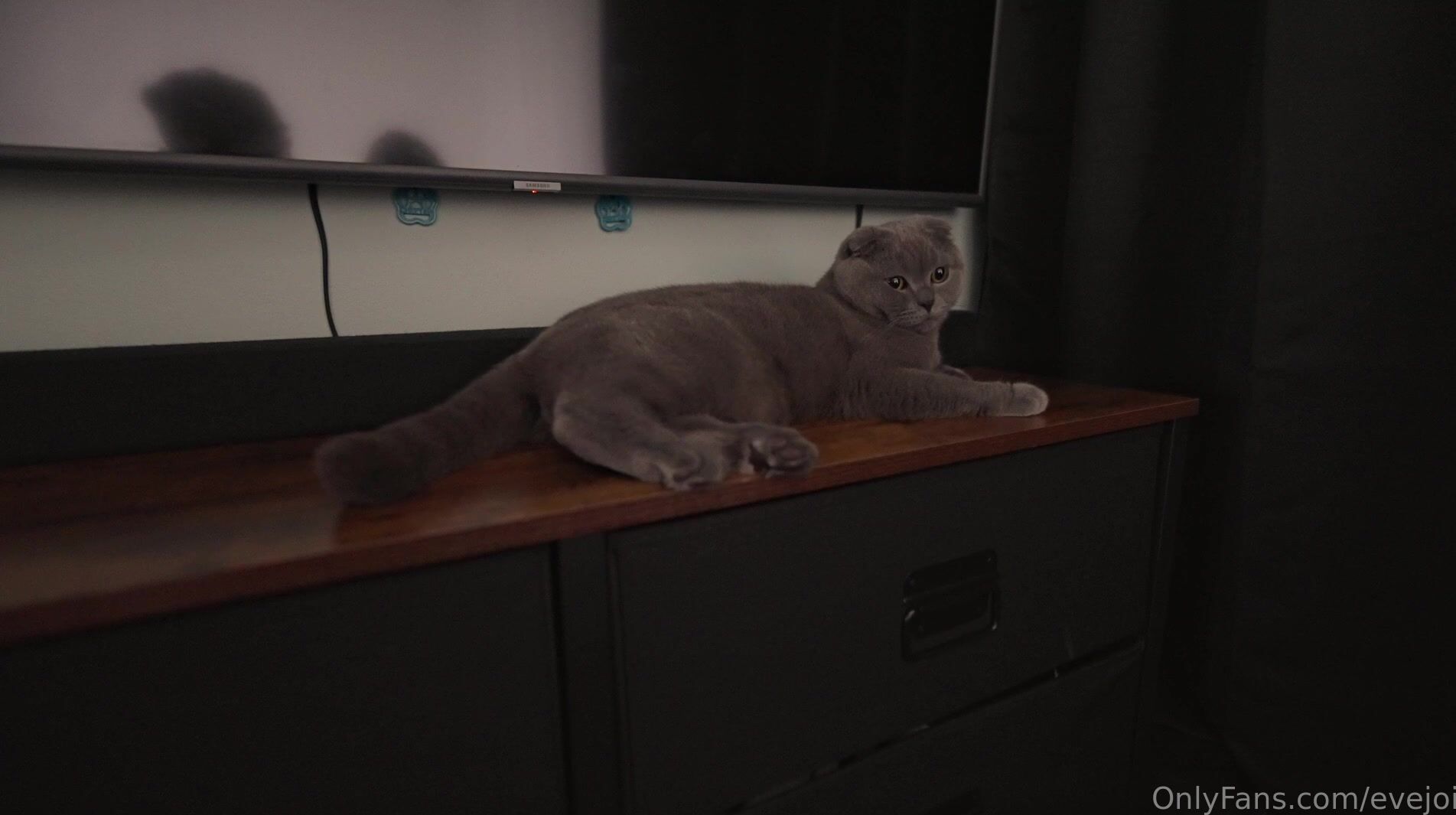 Evejoi - Natural Girlfriend Gets Impregnated by Big Creampie