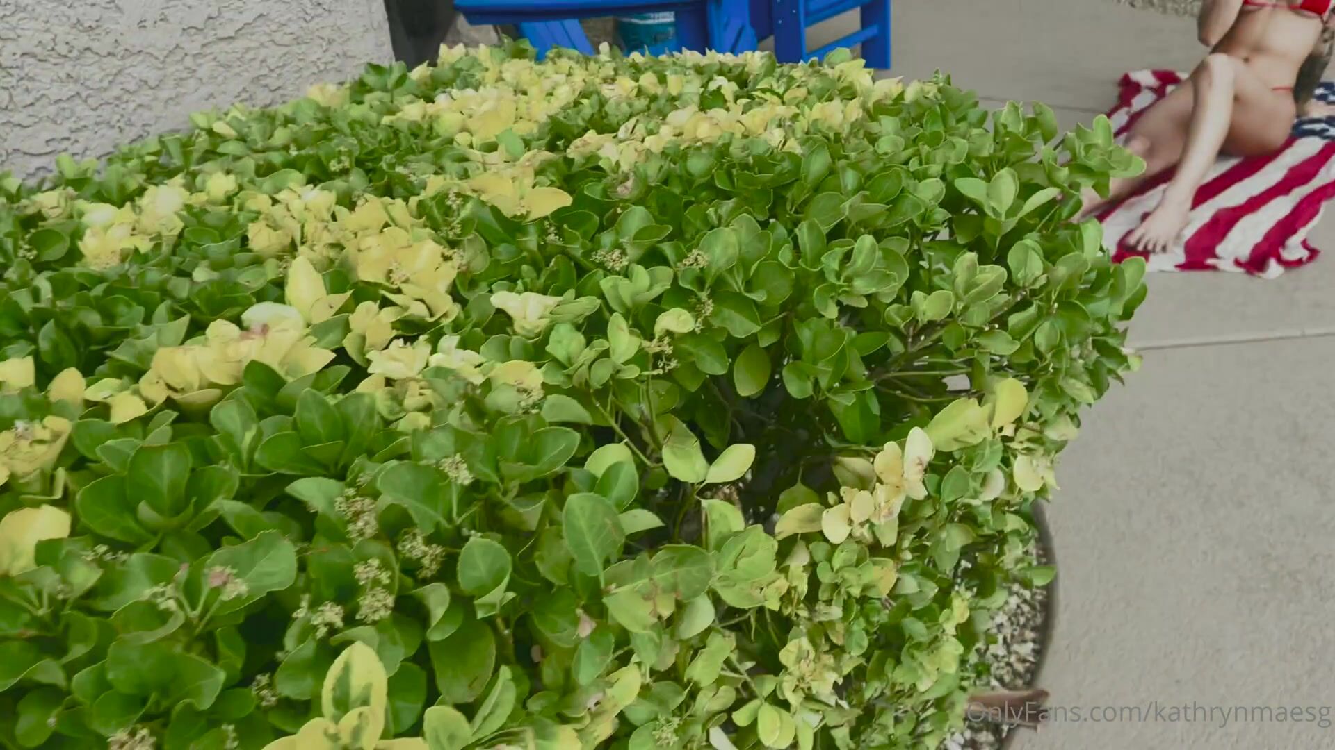 Kathryn Mae Teasing Topless At The Outdoor Poolside